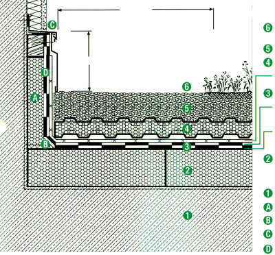 Dachy zielone - Dachy kompaktowe DUO