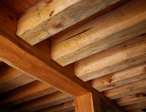 Chemia budowlana - Jak  skutecznie zwalczyć szkodniki w starym drewnianym domu?